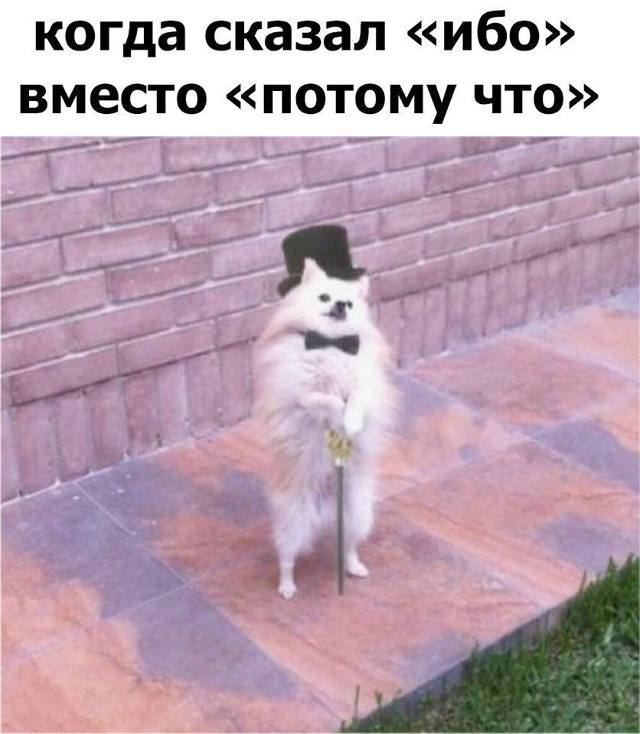 *Когда сказал ИБО вместо ПОТОМУ ЧТО*