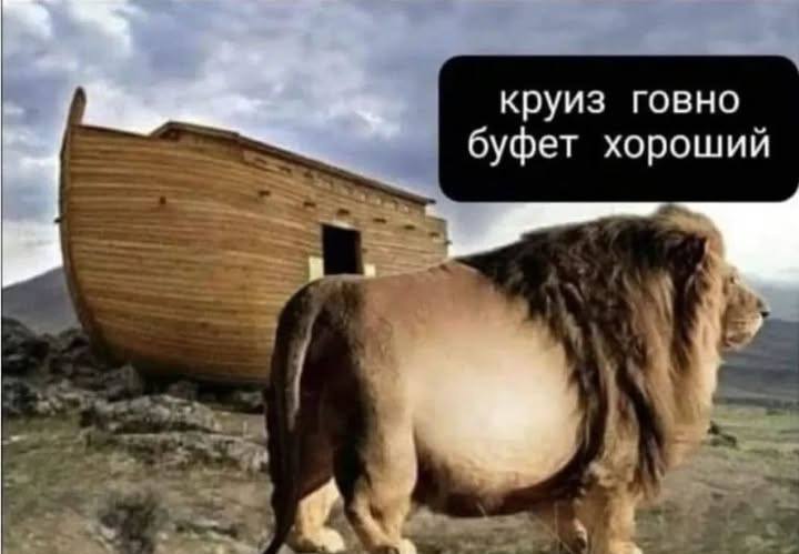 *Круиз говно, буфет хороший...*