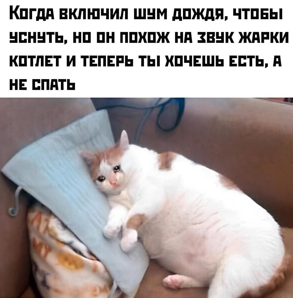 Когда включил шум дождя, чтобы уснуть, но он похож на звук жарки котлет и теперь ты хочешь есть, а не спять.