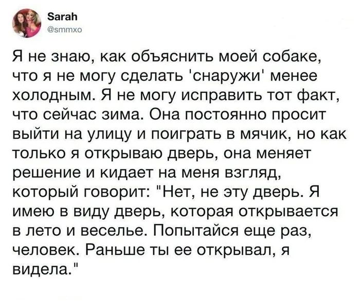 Я не знаю, как объяснить моей собаке, что я не могу сделать снаружи менее холодным. Я не могу исправить тот факт, что сейчас зима. Она постоянно просит выйти на улицу и поиграть в мячик, но как только я открываю дверь, она меняет решение и кидает на меня взгляд, который говорит: «Нет, не эту дверь. Я имею в виду дверь, которая открывается в лето и веселье. Попытайся еще раз, человек. Раньше ты ее открывал, я видела.»