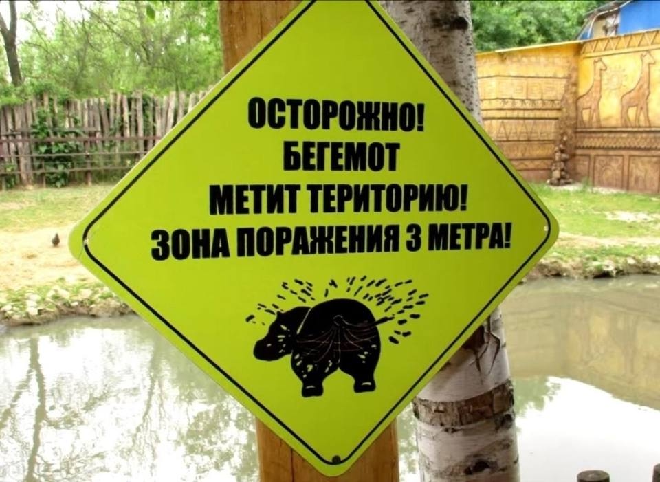ОСТОРОЖНО! БЕГЕМОТ МЕТИТ ТЕРРИТОРИЮ! ЗОНА ПОРАЖЕНИЯ 3 МЕТРА!