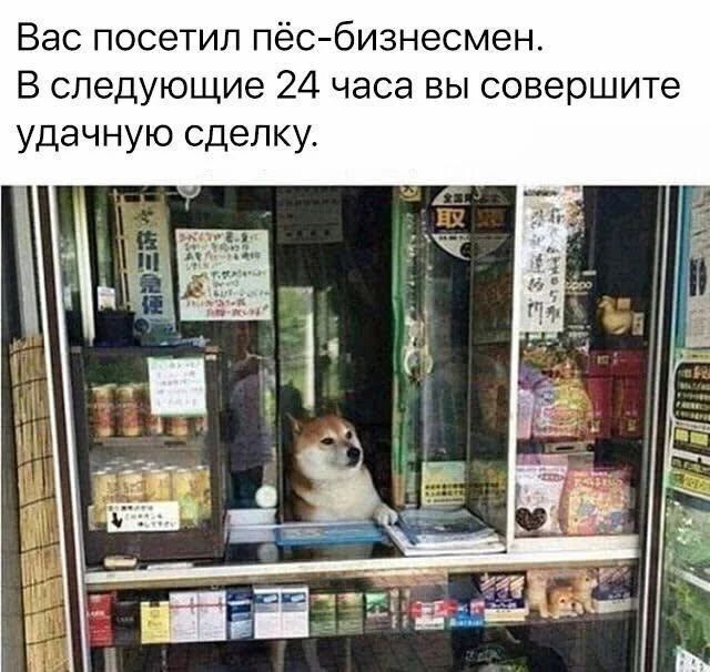 Вас посетил пёс-бизнесмен. В следующие 24 часа вы совершите удачную сделку.
