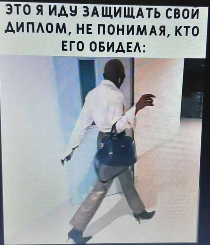 *ЭТО Я ИДУ ЗАЩИЩАТЬ СВОЙ ДИПЛОМ, НЕ ПОНИМАЯ, КТО ЕГО ОБИДЕЛ*