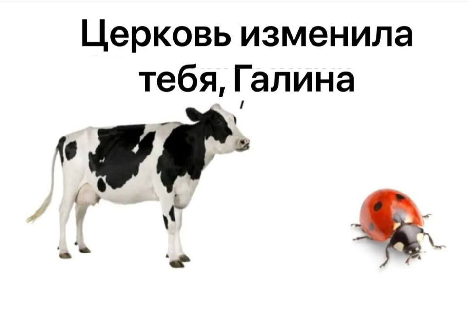 *Церковь изменила тебя, Галина*