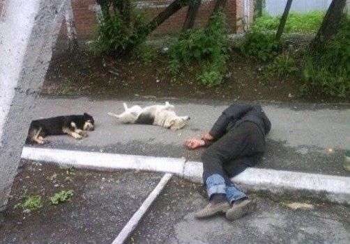 *Тихий алкогольный час*