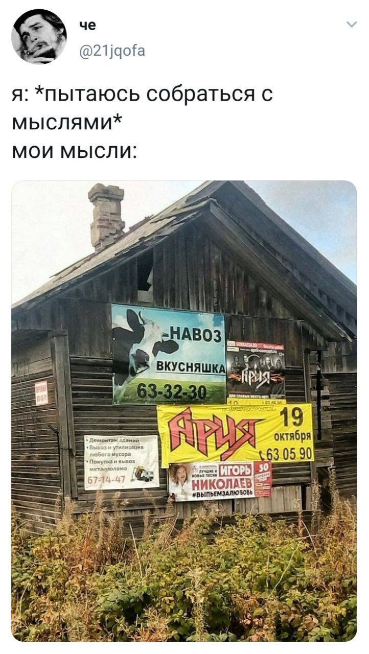 Я: *пытаюсь собраться с мыслями*
Мои мысли: *Навоз Вкусняшка, Ария, Игорь Николаев*