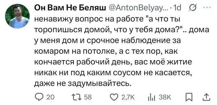 Ненавижу вопрос на работе «А что ты торопишься домой, что у тебя дома?» . дома у меня дом и срочное наблюдение за комаром на потолке, а с тех пор, как кончается рабочий день, вас моё житие никак ни под каким соусом не касается, даже не задумывайтесь.