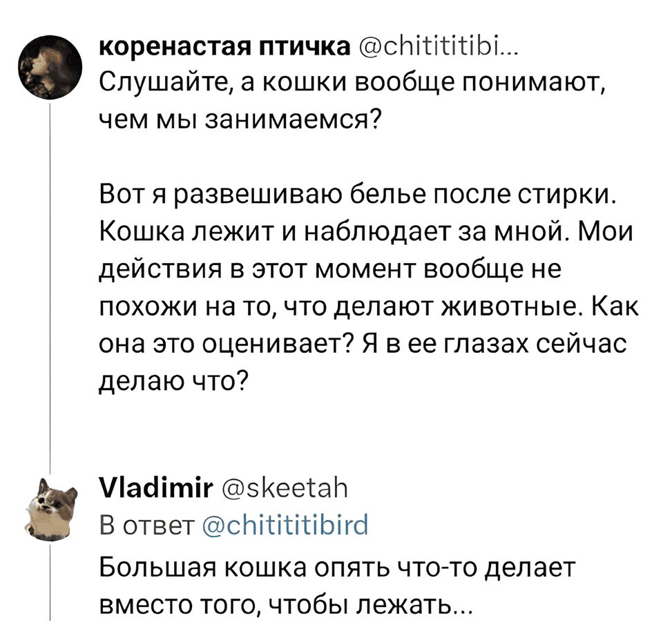 – Слушайте, а кошки вообще понимают, чем мы занимаемся? Вот я развешиваю белье после стирки. Кошка лежит и наблюдает за мной. Мои действия в этот момент вообще не похожи на то, что делают животные. Как она это оценивает? Я в ее глазах сейчас делаю что?
– Большая кошка опять что-то делает вместо того, чтобы лежать...