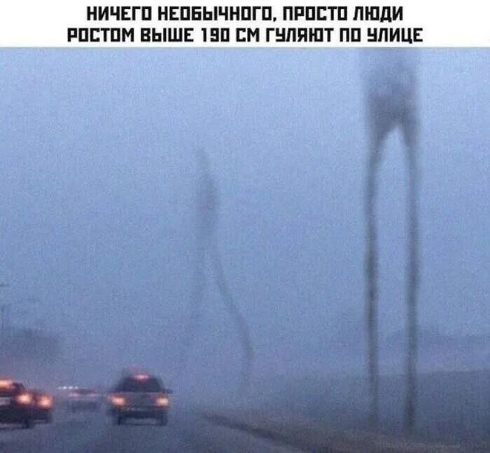 *Ничего необычного, просто люди ростом выше 190см гуляют по улице*
