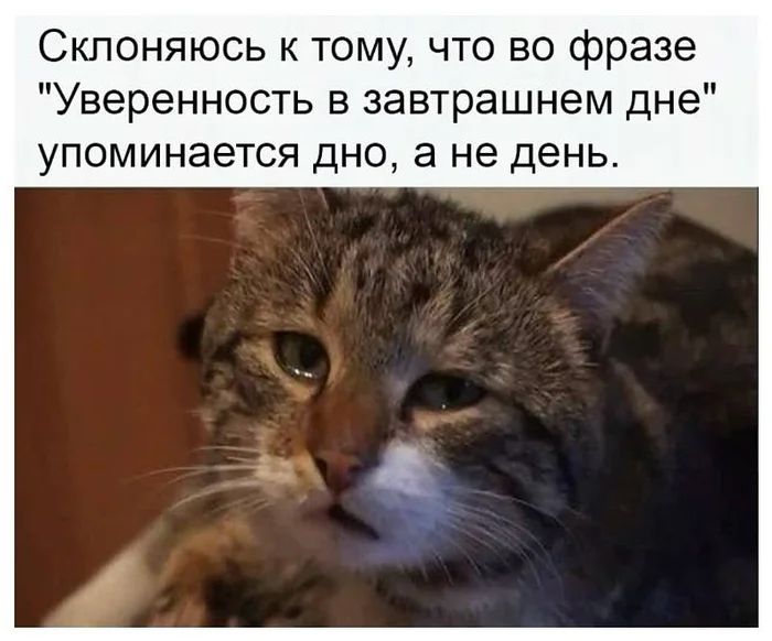 Склоняюсь к тому, что во фразе «Уверенность в завтрашнем дне» упоминается дно, а не день.