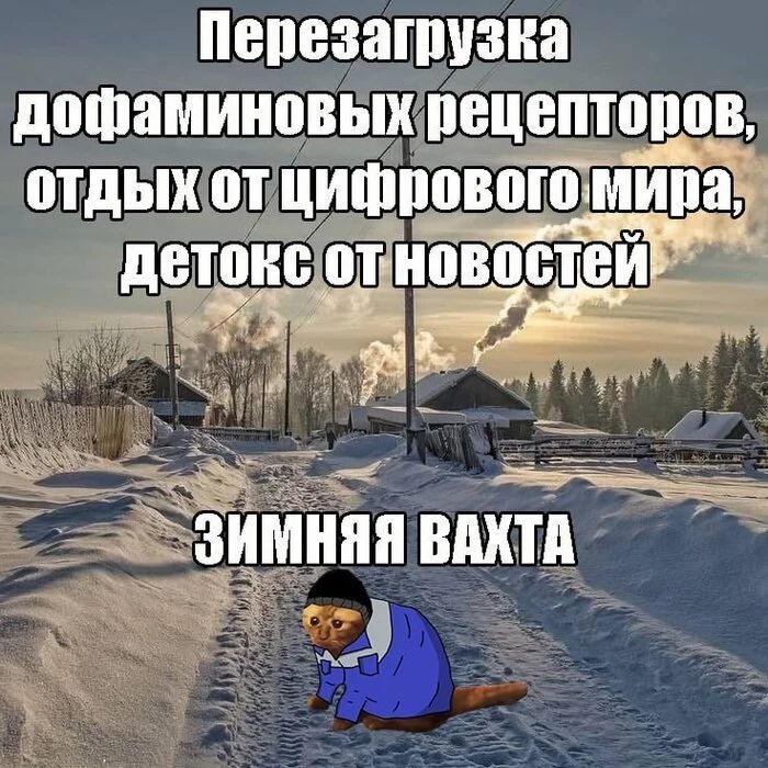 Перезагрузка дофаминовых рецепторов, отдых от цифрового мира, детокс от новостей...
*Зимняя вахта*