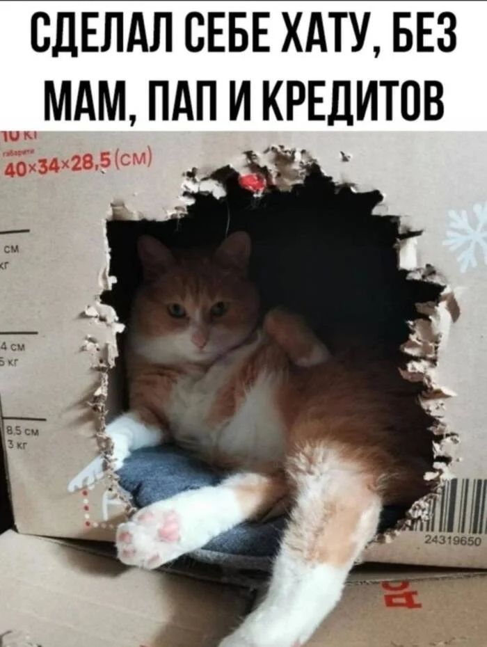 *Сделал себе хату, без мам, пап и кредитов*