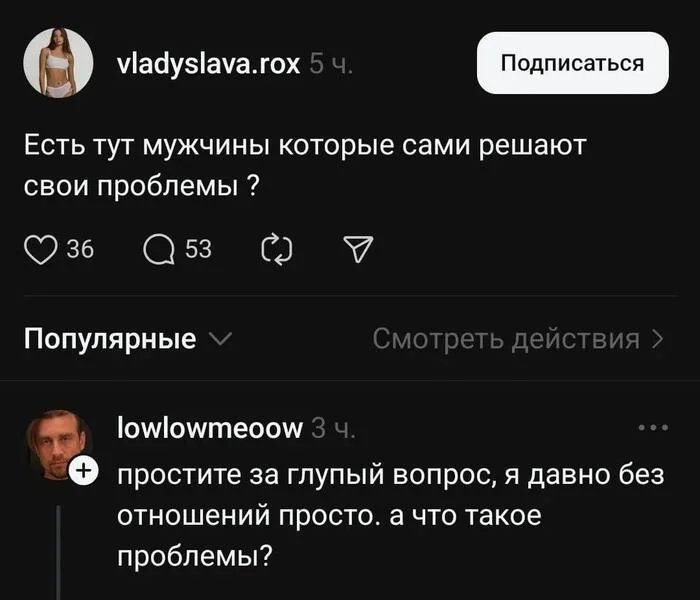 – Есть тут мужчины которые сами решают свои проблемы?
– Извиняюсь за глупый вопрос, я давно без отношений просто, а что такое проблемы?
