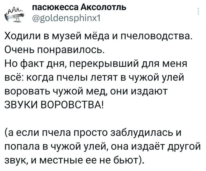 Ходили в музей мёда и пчеловодства. Очень понравилось. Но факт дня, перекрывший для меня всё: когда пчелы летят в чужой улей воровать чужой мед, они издают ЗВУКИ ВОРОВСТВА!
(а если пчела просто заблудилась и попала в чужой улей, она издаёт другой звук, и местные ее не бьют).