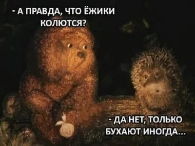– А правда, что ёжики колются?
– Да не, только бухают иногда...