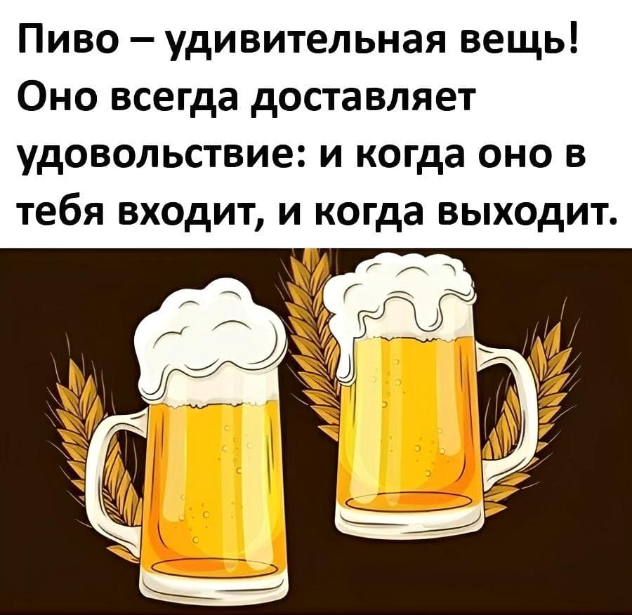 Пиво – удивительная вещь! Оно всегда доставляет удовольствие: и когда оно в тебя входит, и когда выходит.