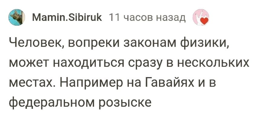Человек, вопреки законам физики, может находиться сразу в нескольких местах. Например на Гавайях и в федеральном розыске.