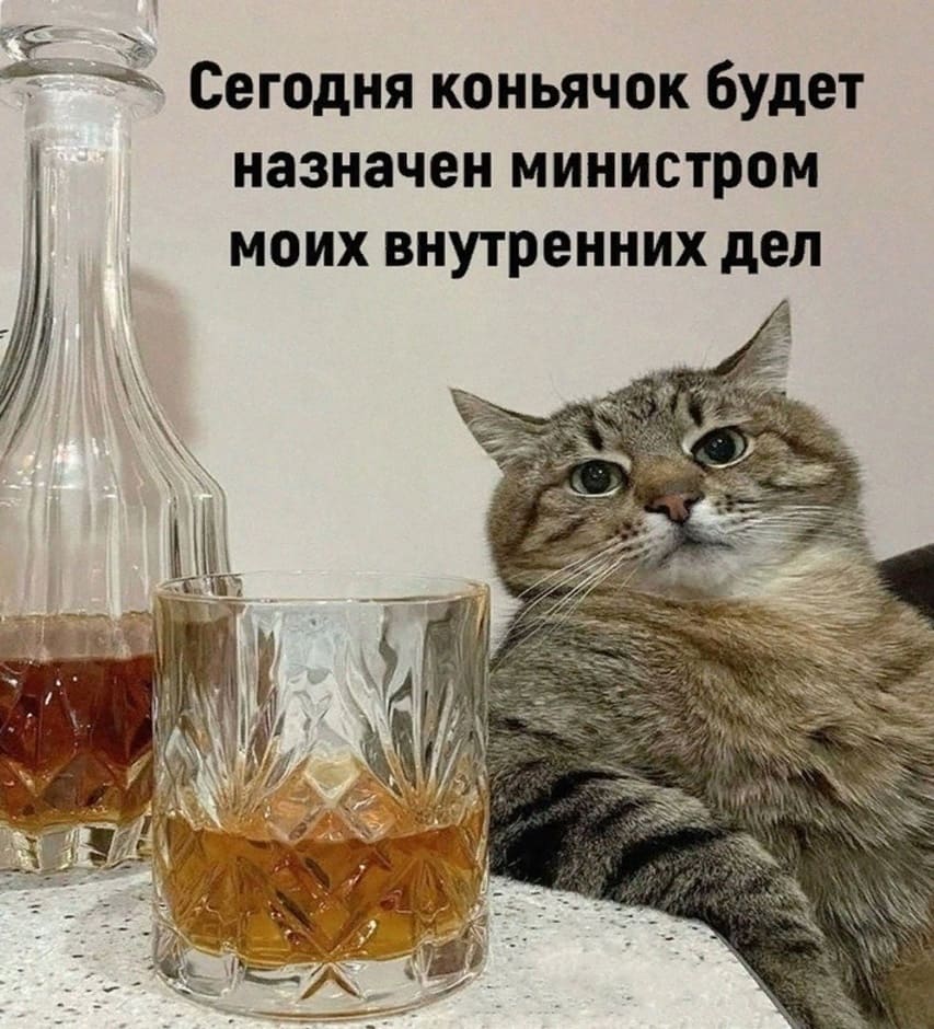 Сегодня коньячок будет назначен министром моих внутренних дел.