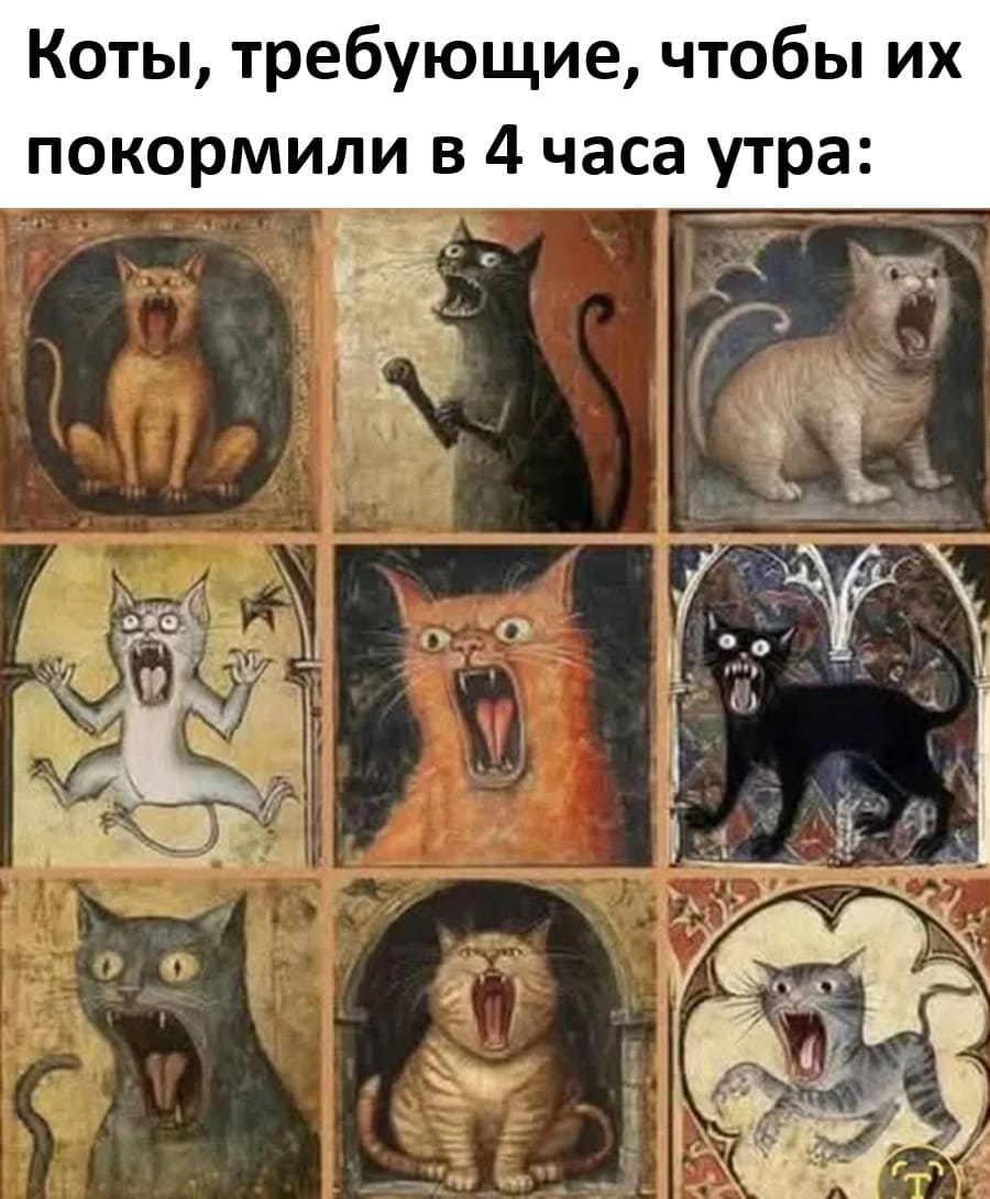 *Коты, требующие, чтобы их покормили в 4 часа утра*