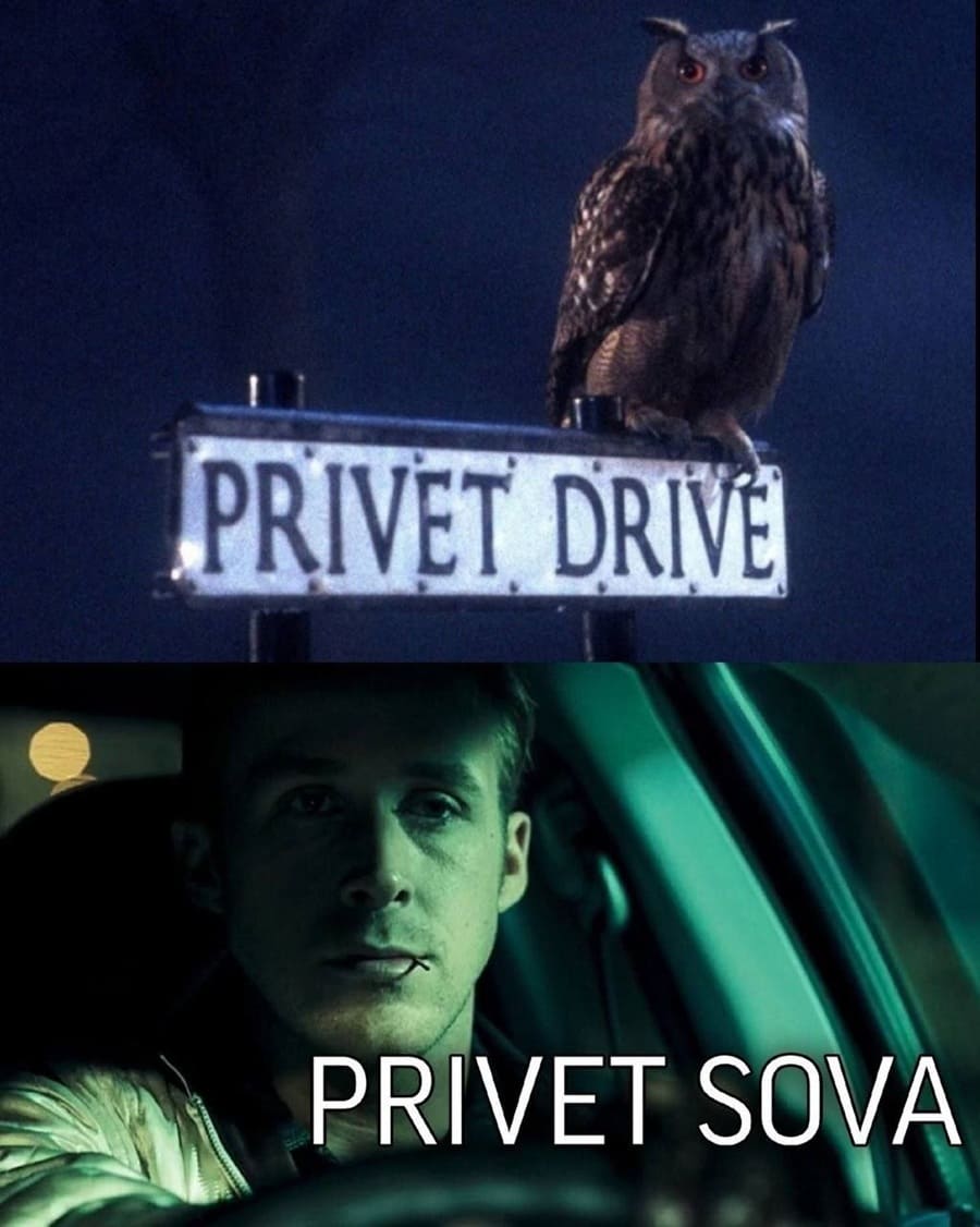 *PRIVET DRIVE*
*PRIVET SOVA*