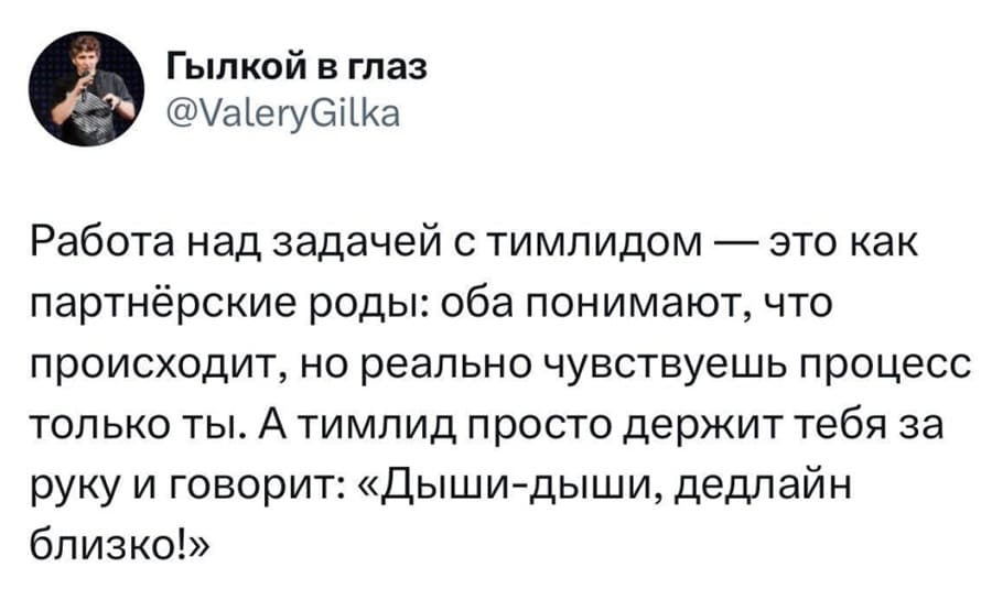 Работа над задачей с тимлидом — это как партнёрские роды: оба понимают, что происходит, но реально чувствуешь процесс только ты. А тимлид просто держит тебя за руку и говорит: «Дыши-дыши, дедлайн близко!».
