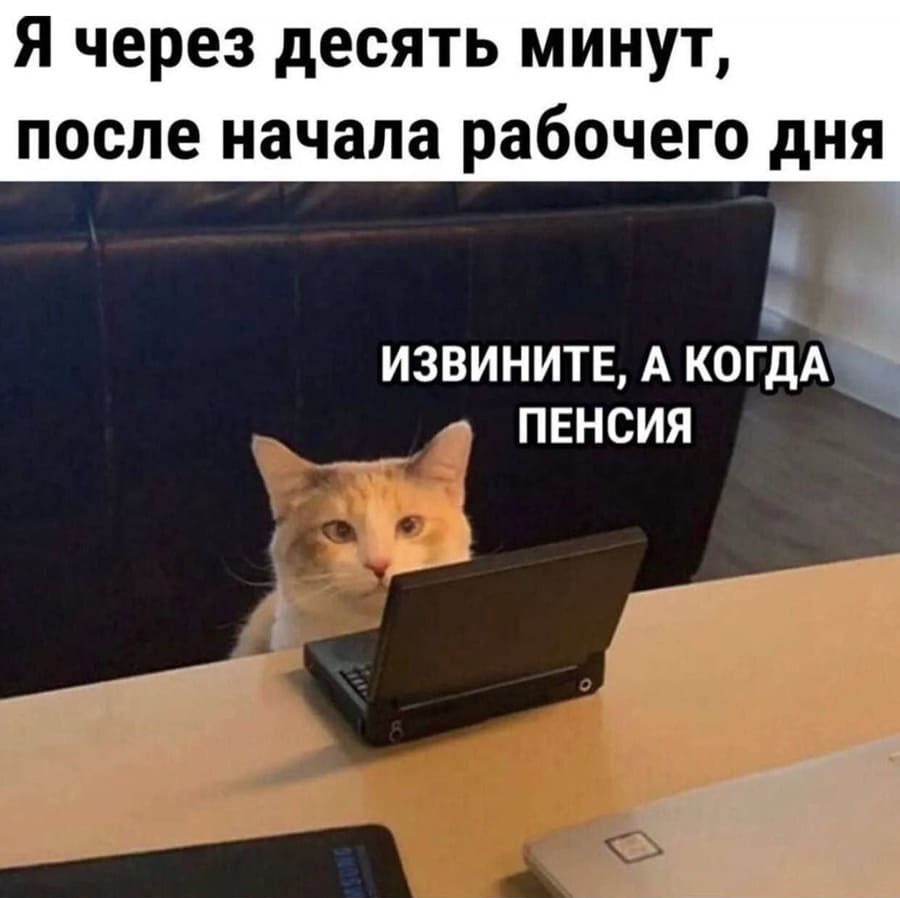 Я через десять минут, после начала рабочего дня:
– Извините, а когда пенсия?
