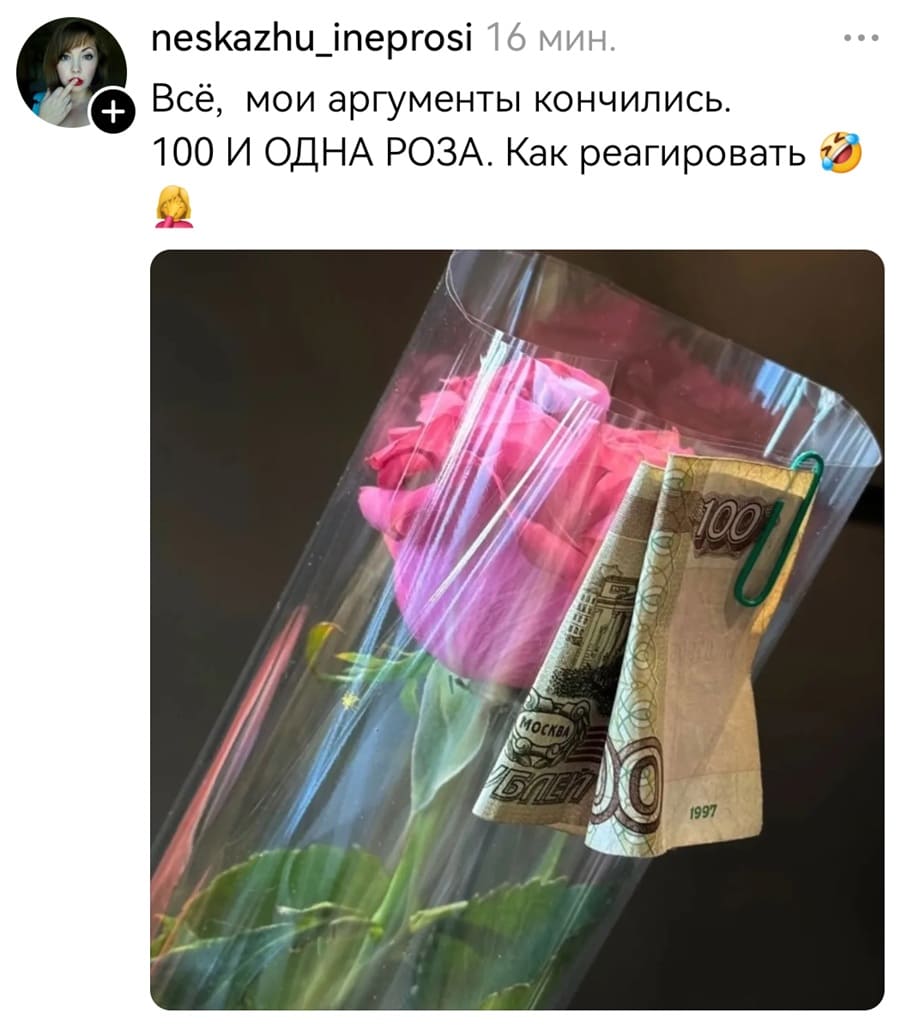 Всё, мои аргументы кончились. 100 И ОДНА РОЗА. Как реагировать