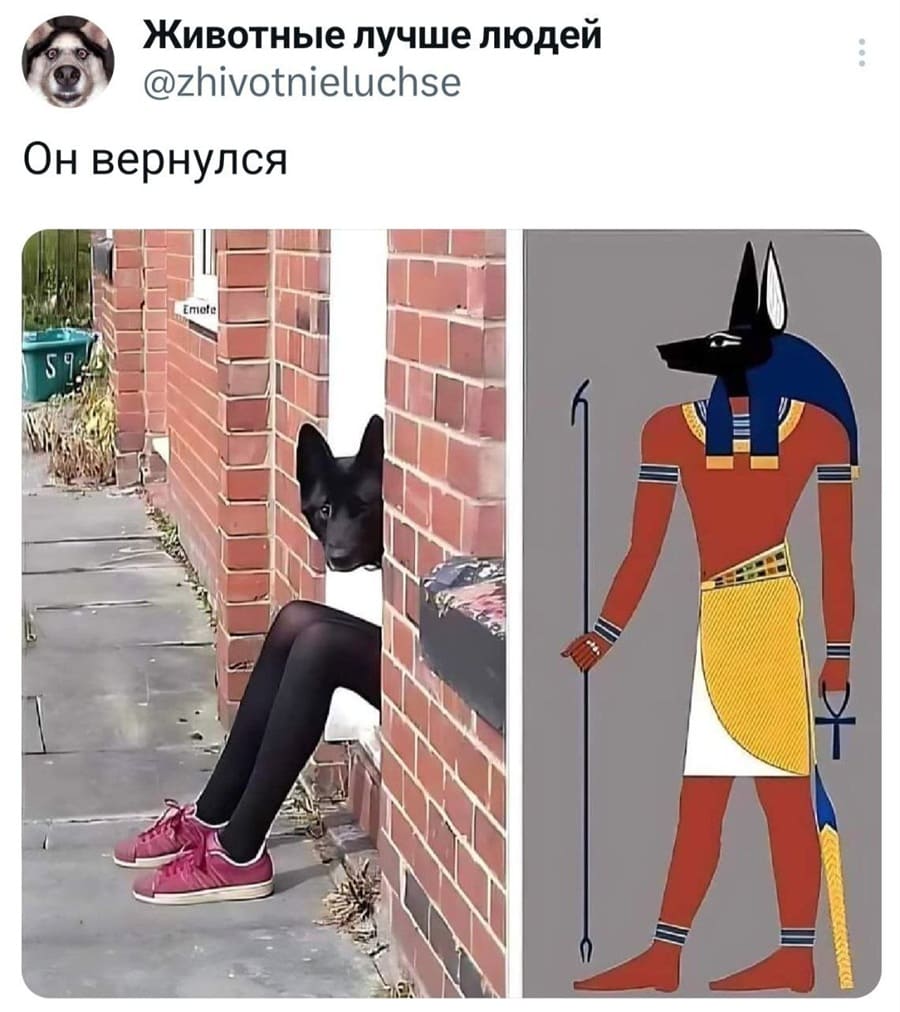 *Он вернулся*