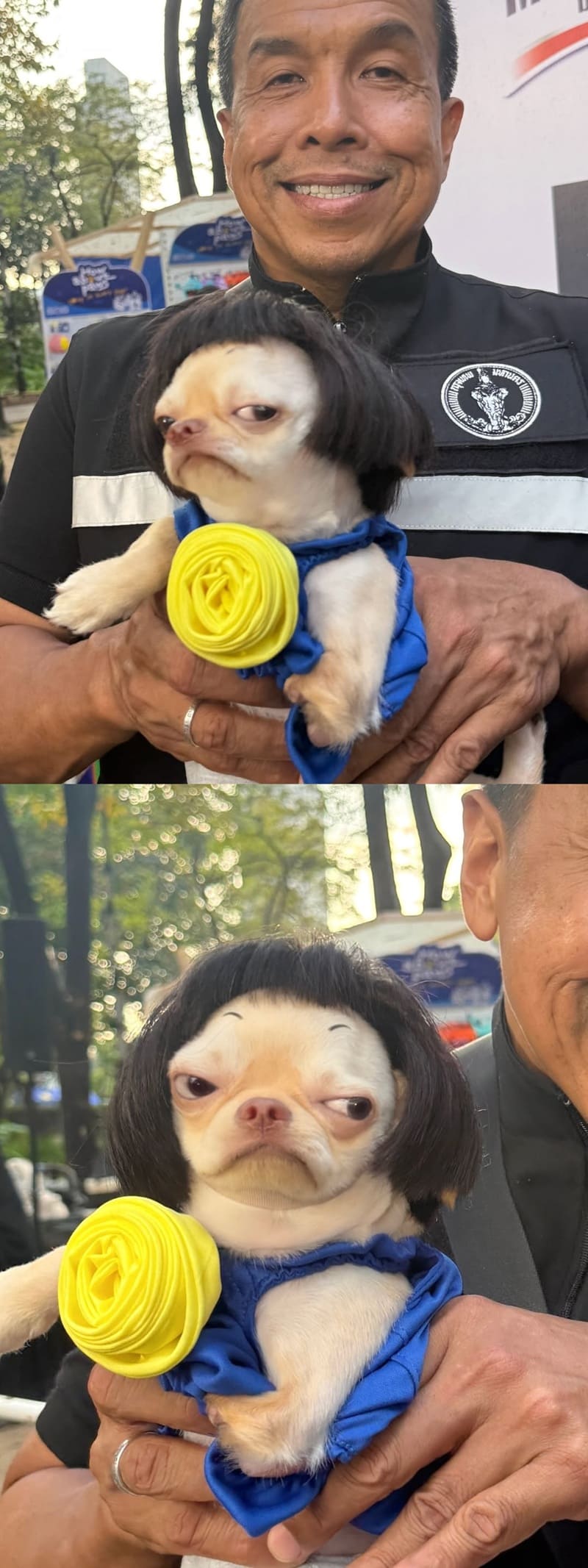 Чадчарт Ситтипунт — действующий губернатор Бангкока и его очаровательный питомец.