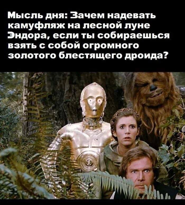 Мысль дня: Зачем надевать камуфляж на лесной луне Эндора, если ты собираешься взять с собой огромного золотого блестящего дроида?