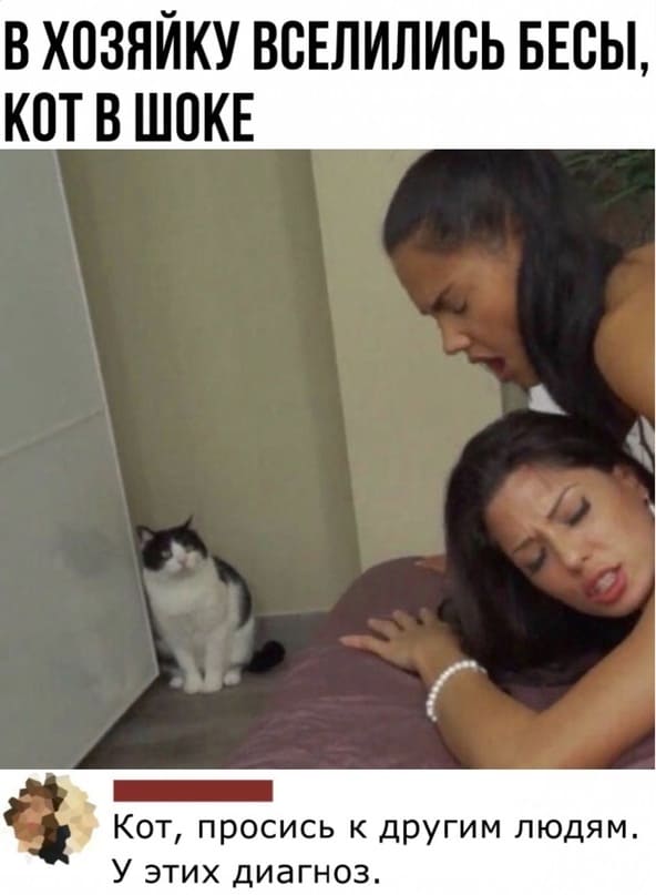 *В ХОЗЯЙКУ ВСЕЛИЛИСЬ БЕСЫ, КОТ В ШОКЕ*
– Кот, просись к другим людям. У этих диагноз.
