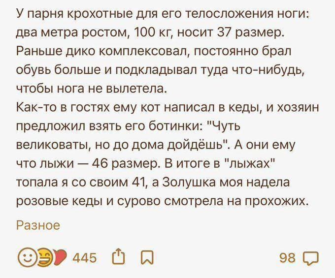 У парня крохотные для его телосложения ноги: два метра ростом, 100 кг, носит 37 размер. Раньше дико комплексовал, постоянно брал обувь больше и подкладывал туда что-нибудь, чтобы нога не вылетела.
Как-то в гостях ему кот написал в кеды, и хозяин предложил взять его ботинки: «Чуть великоваты, но до дома дойдёшь». А они ему что лыжи — 46 размер. В итоге в «лыжах» топала я со своим 41, а Золушка моя надела розовые кеды и сурово смотрела на прохожих.