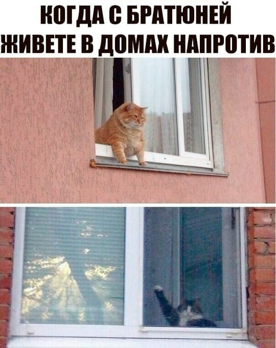 *Когда с братюней живёте в домах напротив*