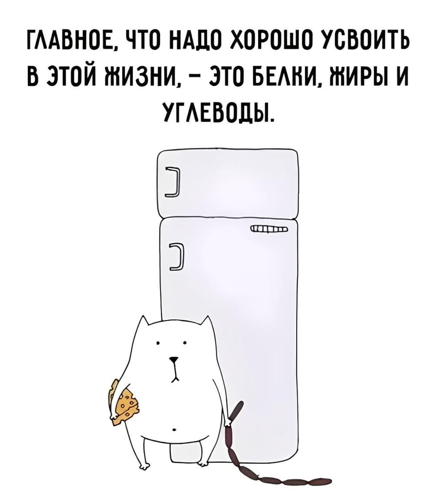 Главное, что надо хорошо усвоить в этой жизни, — это белки, жиры и углеводы.
