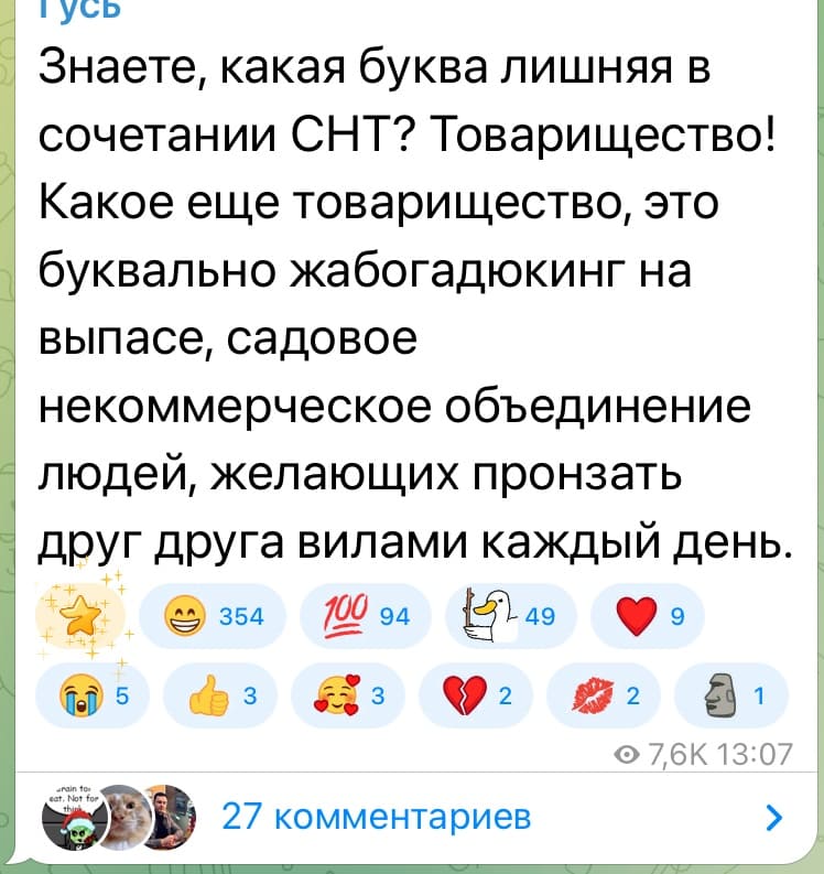 Знаете, какая буква лишняя в сочетании СНТ? Товарищество! Какое еще товарищество, это буквально жабогадюкинг на выпасе, садовое некоммерческое объединение людей, желающих пронзать друг друга вилами каждый день.