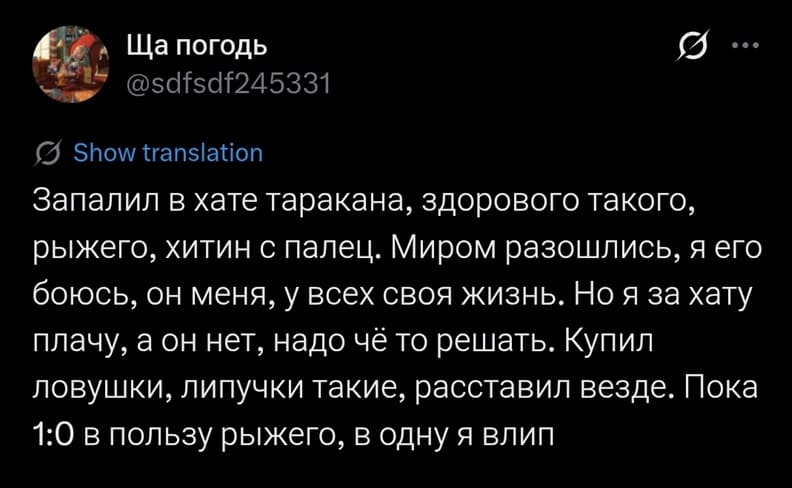 Запалил в хате таракана, здорового такого, рыжего, хитин с палец. Миром разошлись, я его боюсь, он меня, у всех своя жизнь. Но я за хату плачу, а он нет, надо чё то решать. Купил ловушки, липучки такие, расставил везде. Пока 1:0 в пользу рыжего, в одну я влип.