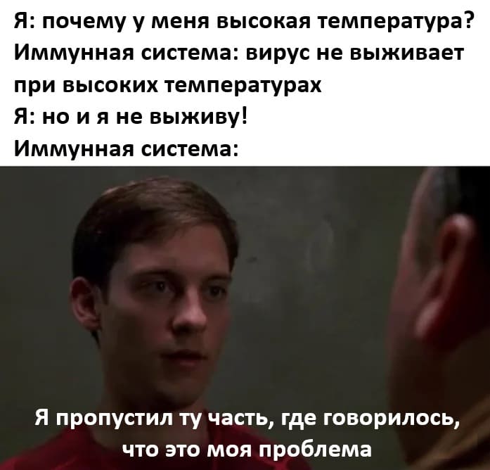 Я: Почему у меня высокая температура?
Иммунная система: Вирус не выживает при высоких температурах.
Я: Но и я не выживу!
Иммунная система: Я пропустил ту часть, где говорилось, что это моя проблема.