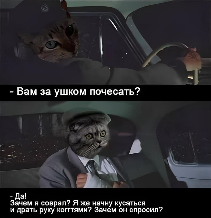 – Вам за ушком почесать?
– Да! Зачем я соврал? Я же начну кусаться и драть руку когтями? Зачем он спросил?