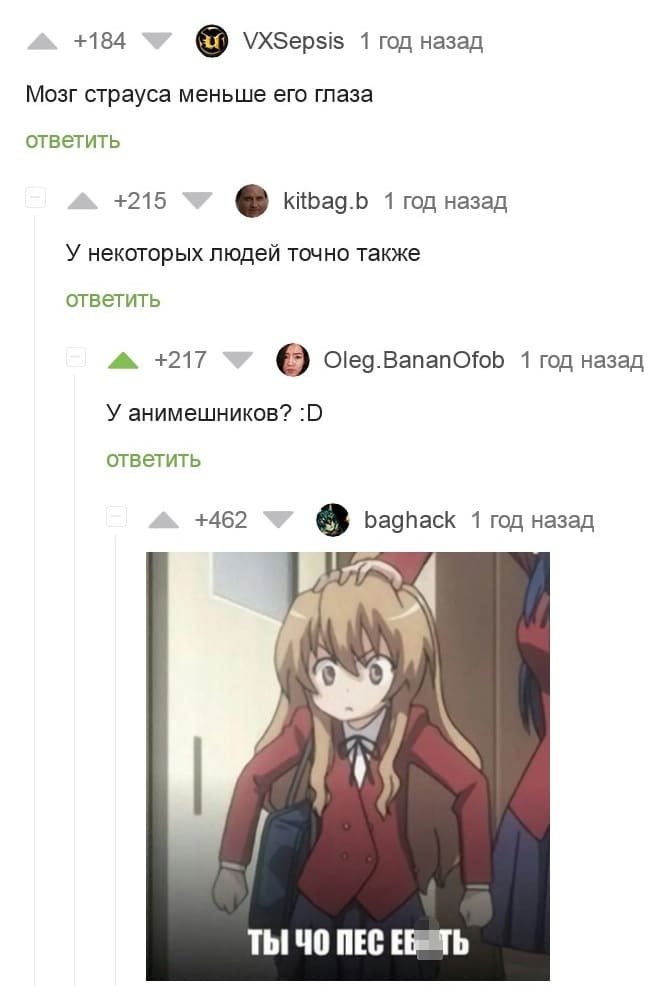 – Мозг страуса меньше его глаза.
– У некоторых людей точно также.
– У анимешников?
– *Ты чё, пёс!?*