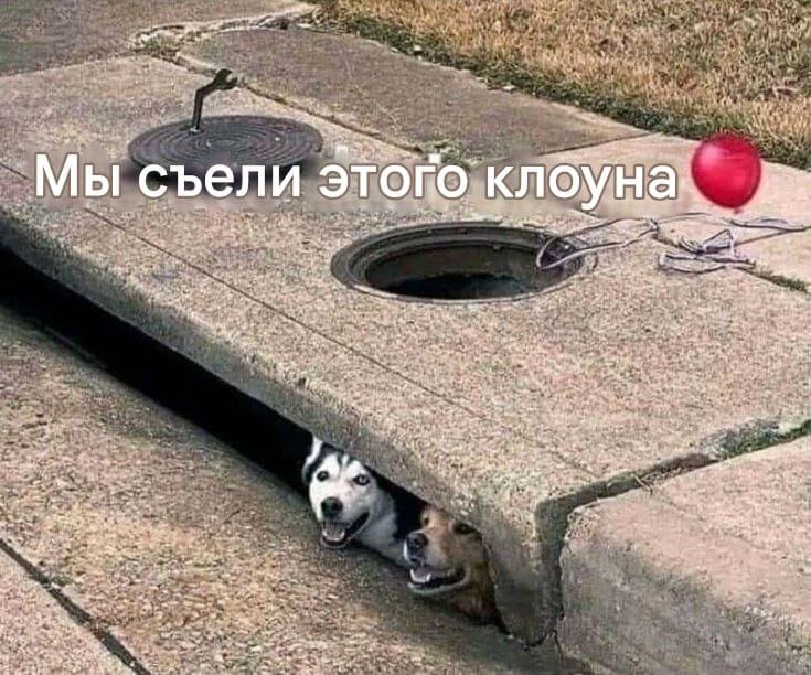 Собаки: *Мы съели этого клоуна*