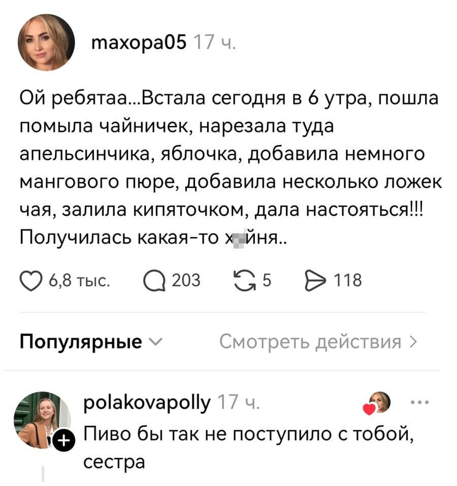 – ОЙ ребятаа... Встала сегодня в 6 утра, пошла помыла чайничек, нарезала туда апельсинчика, яблочка, добавила немного мангового пюре, добавила несколько ложек чая, залила кипяточком, дала настояться!!! Получилась какая-то х*йня..
– Пиво бы так не поступило с тобой, сестра.