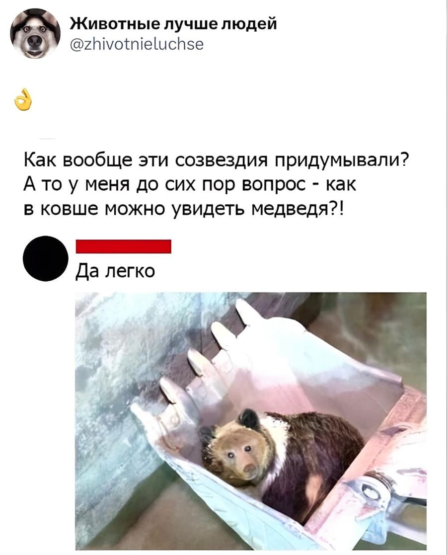 – Как вообще эти созвездия придумывали? А то у меня до сих пор вопрос – как в ковше можно увидеть медведя?!
– Да легко.