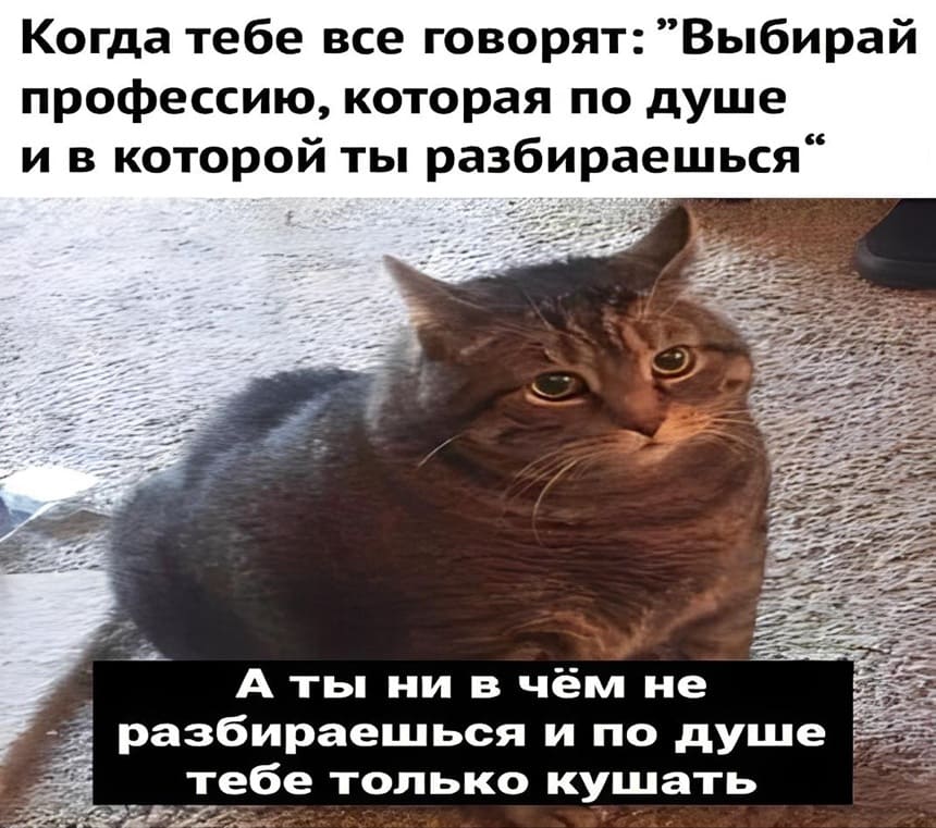 Когда тебе все говорят: «Выбирай профессию, которая по душе и в которой ты разбираешься». А ты ни в чём не разбираешься и по душе тебе только кушать.