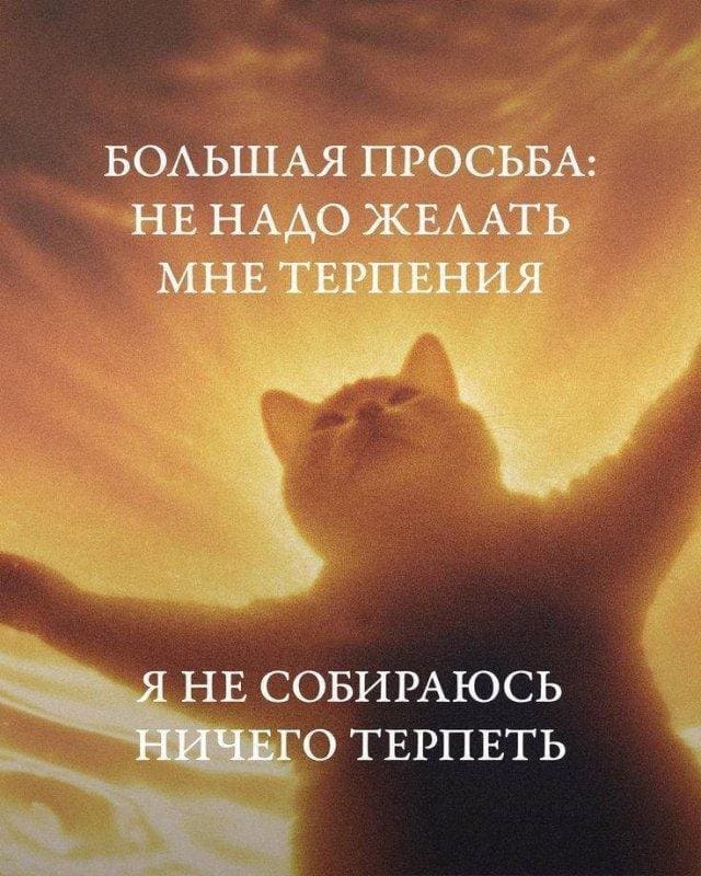 БОЛЬШАЯ ПРОСЬБА: НЕ НАДО ЖЕЛАТЬ МНЕ ТЕРПЕНИЯ.
Я НЕ СОБИРАЮСЬ НИЧЕГО ТЕРПЕТЬ.