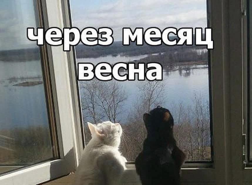 *Через месяц весна*