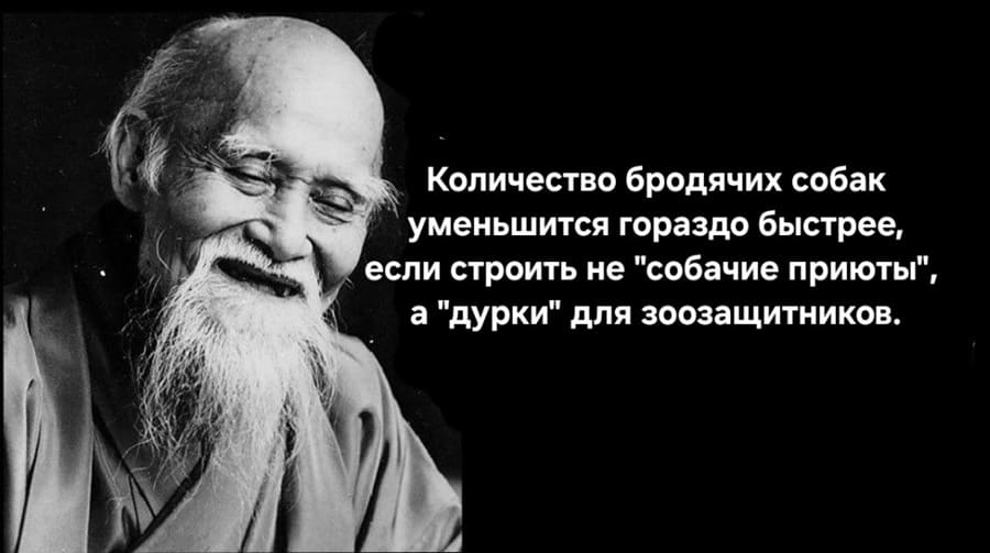 Количество бродячих собак уменьшится гораздо быстрее, если строить не «собачьи приюты» а «дурки» для зоозащитников.