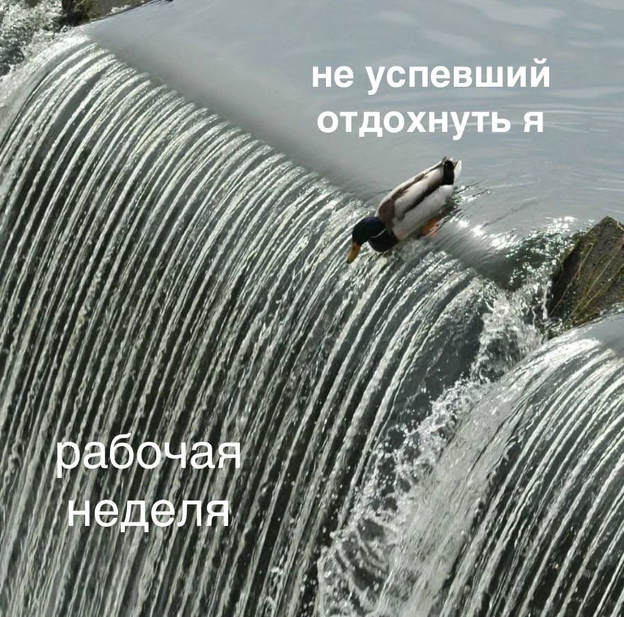 *Не успевший отдохнуть я*
*Новая рабочая неделя*
