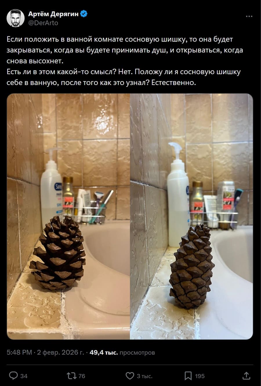 Если положить в ванной комнате сосновую шишку, то она будет закрываться, когда вы будете принимать душ, и открываться, когда снова высохнет.
Есть ли в этом какой-то смысл? Нет. Положу ли я сосновую шишку себе в ванную, после того как это узнал? Естественно.