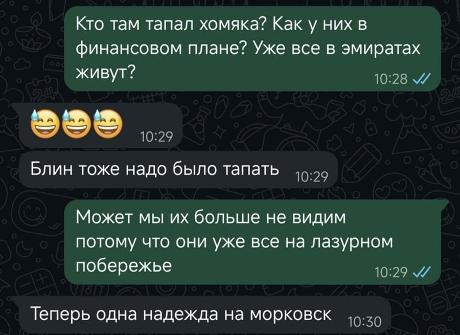 – Кто там тапал хомяка? Как у них в финансовом плане? Уже все в эмиратах живут?
– Блин тоже надо было тапать.
– Может мы их больше не видим потому что они уже все на лазурном побережье.
– Теперь одна надежда на морковск.