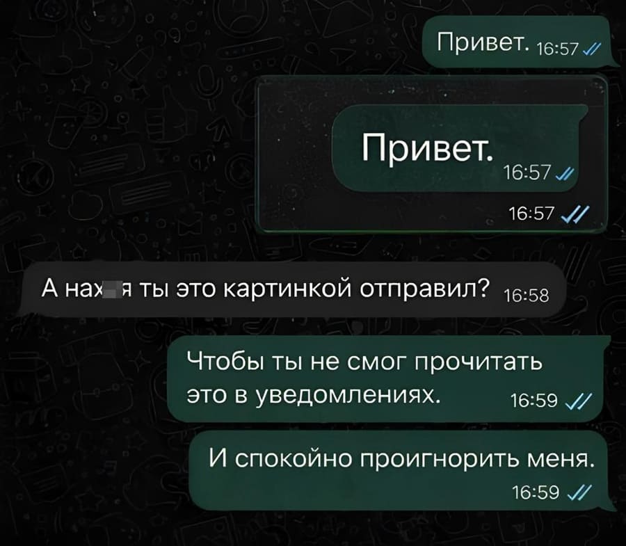 – Привет.
– Привет.
– А нах*я ты это картинкой отправил?
– Чтобы ты не смог прочитать это в уведомлениях. И спокойно проигнорить меня.